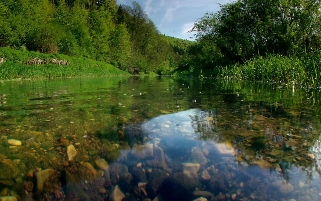 природа, вода, ручей