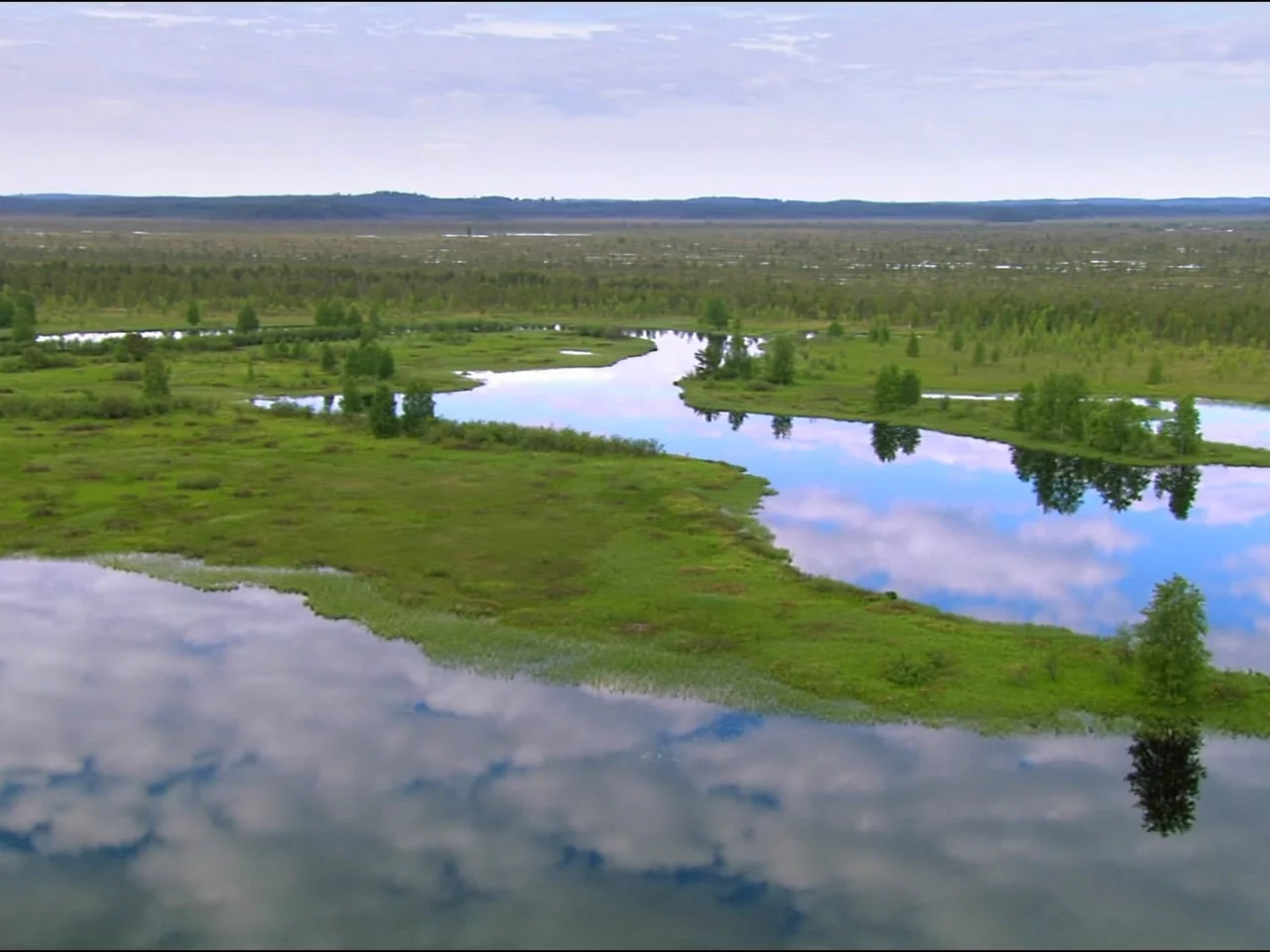 природа, вода, болото