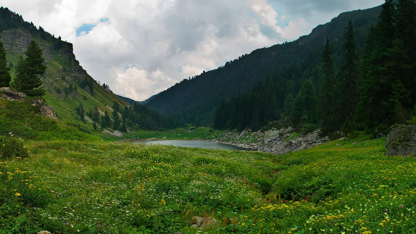 Рила, Болгария, горы, деревья, лес, небо, облака, природа, пейзаж, озеро, цветы