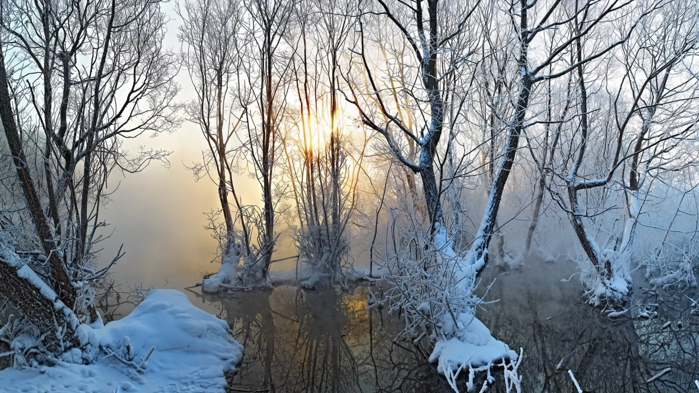 природа, зима, деревья, туман, снег