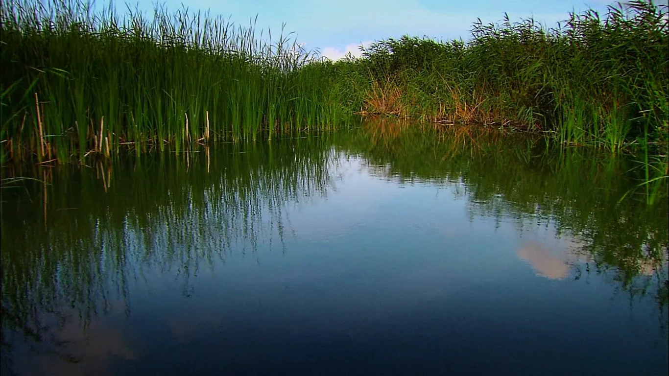 природа, вода