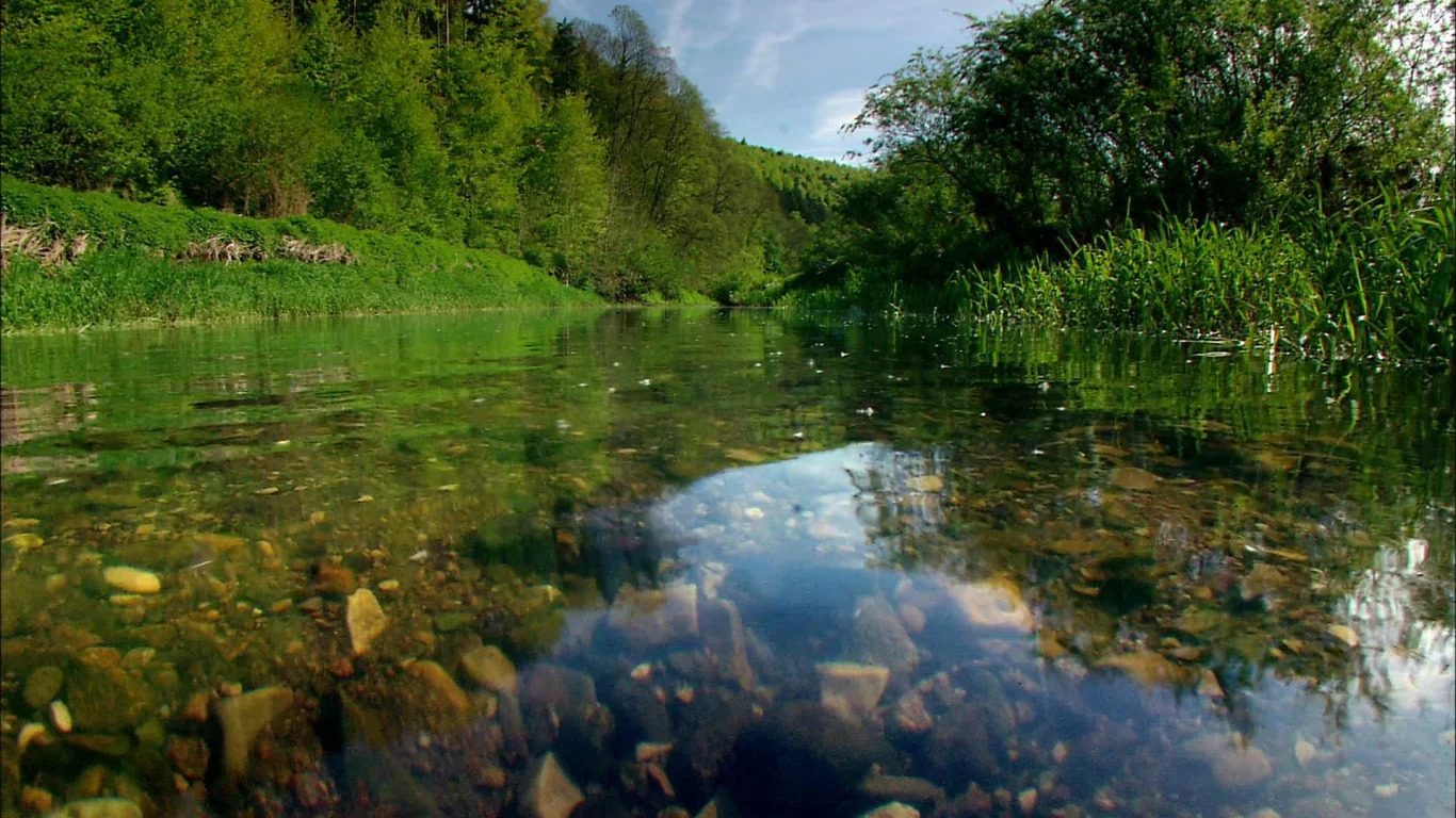 природа, вода, ручей
