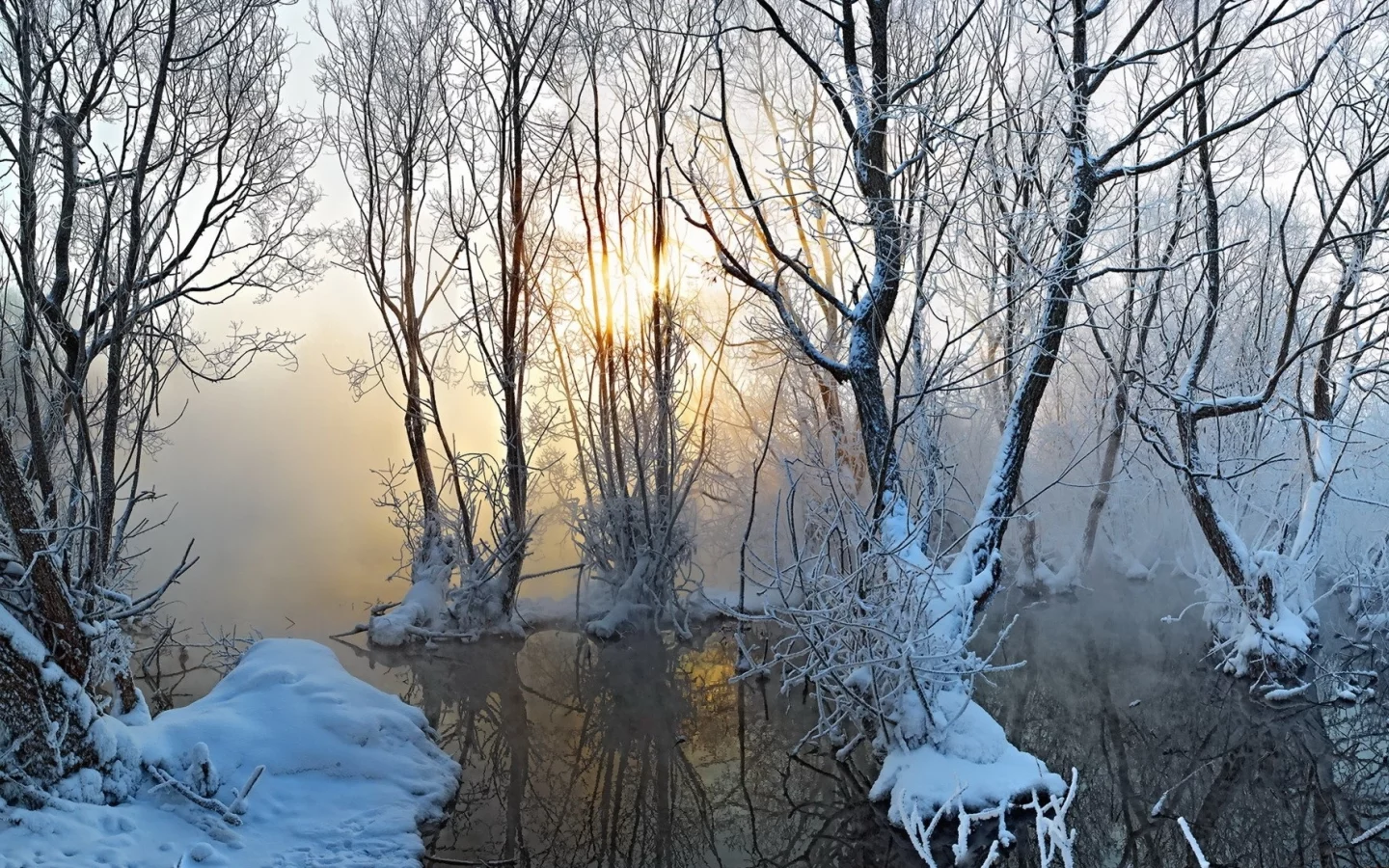 природа, зима, деревья, туман, снег
