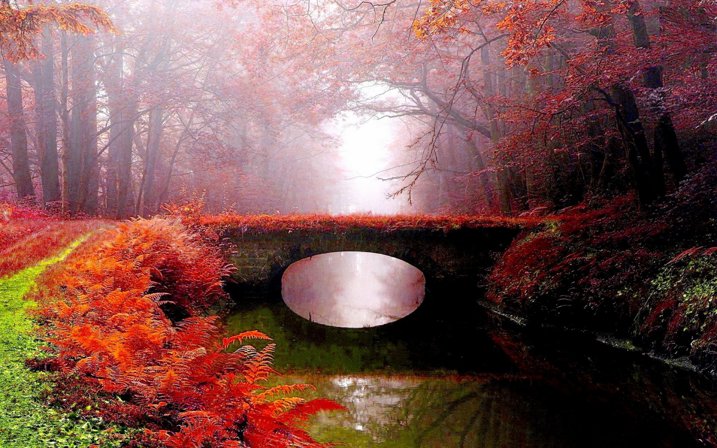 река, осень, мост, парк, туман