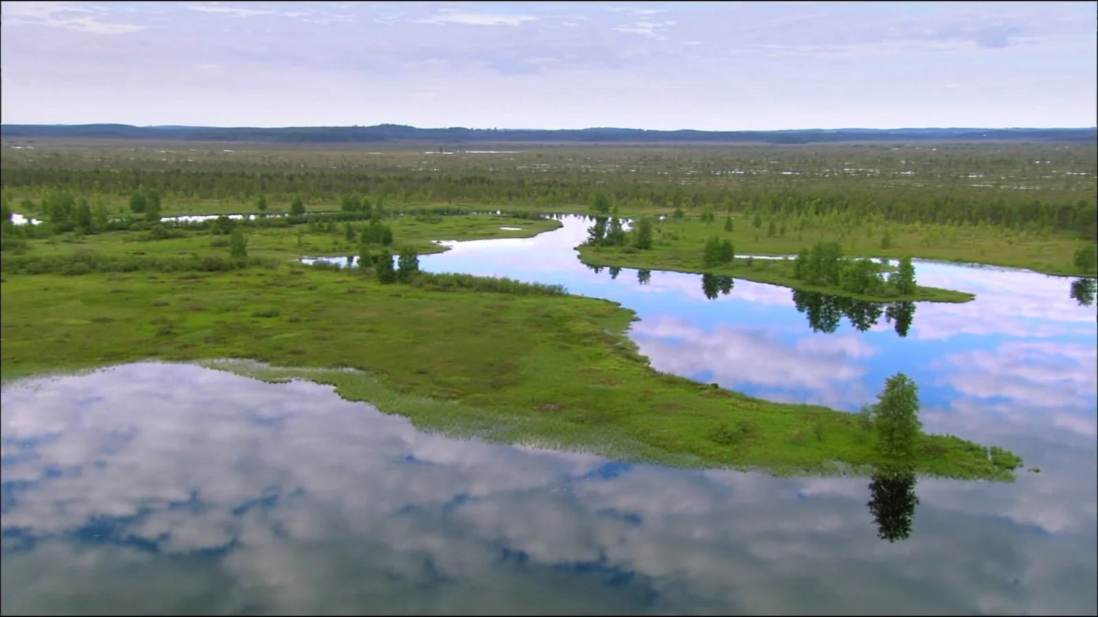 природа, вода, болото