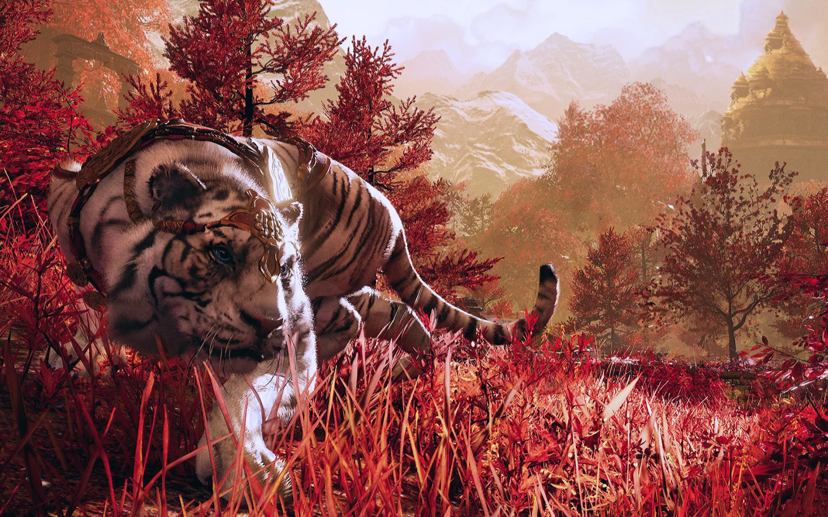 Азия, тигр, поле, трава, красный, игра, Far Cry 4