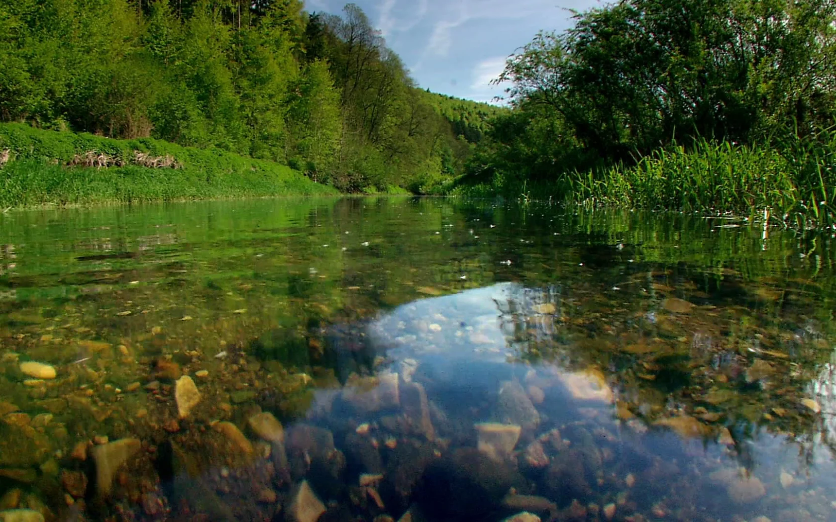 природа, вода, ручей