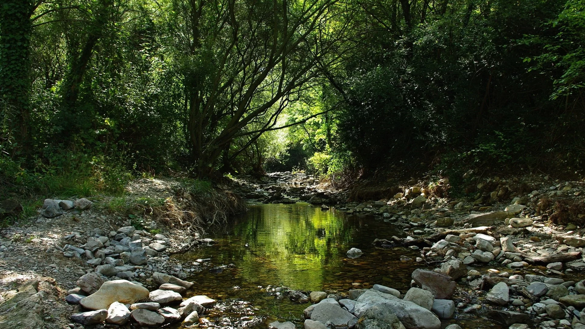 priroda, reka
