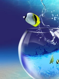 вода, скалярии