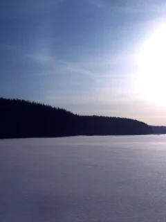 зима, лес, снег, небо, солнце