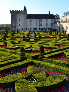 Замок Вилландри, Франция, дворец, замок, небо, деревья, парк, цветы, Chateau de Villandry, France, chateau