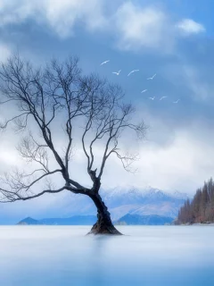 природа, горы, птицы, дерево, небо, пейзаж, облака