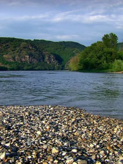 природа, вода, ручей