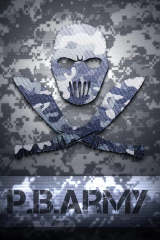 army, point blank, logo, комуфляж, texture, зимний, поинт бланк
