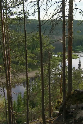 природа, вода, ручей