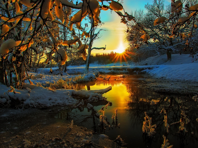 hdr, tree, view, scenery, snow, winter, season, colors, sky, landscape, nature, sunset, ice, clouds