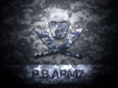 army, point blank, logo, комуфляж, texture, зимний, поинт бланк