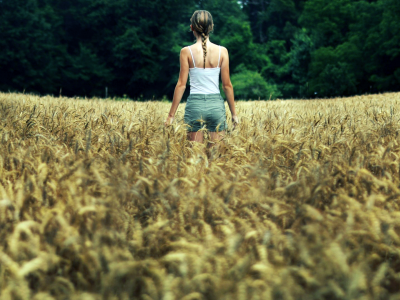 поле, пшеница, девушка
