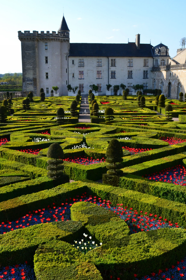 Замок Вилландри, Франция, дворец, замок, небо, деревья, парк, цветы, Chateau de Villandry, France, chateau