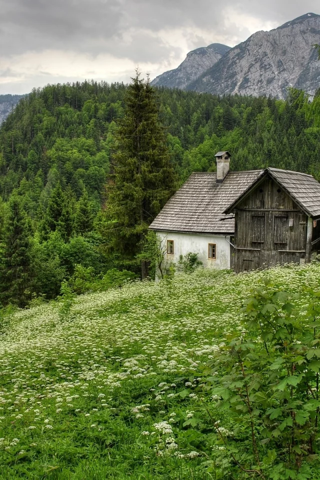 горы, деревья, дом