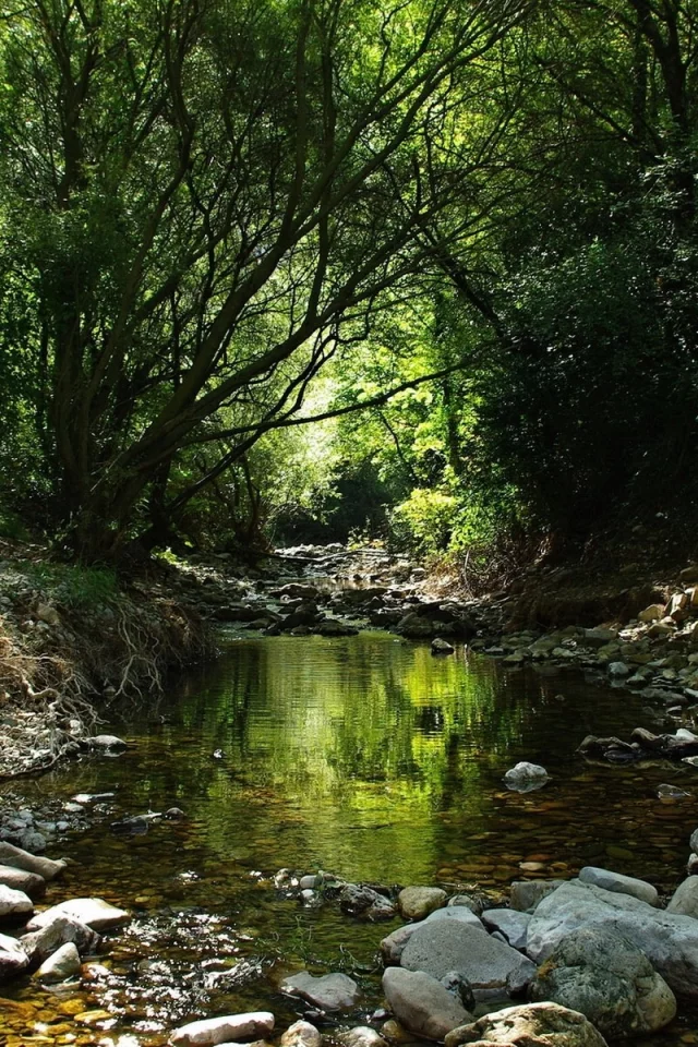 priroda, reka