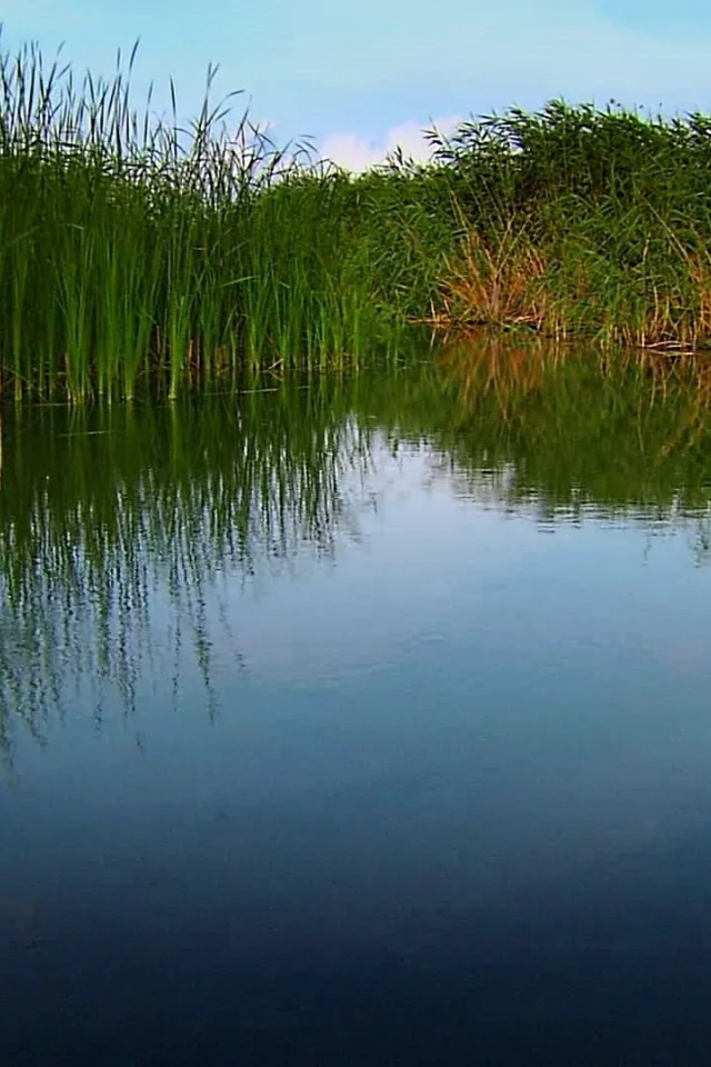 природа, вода