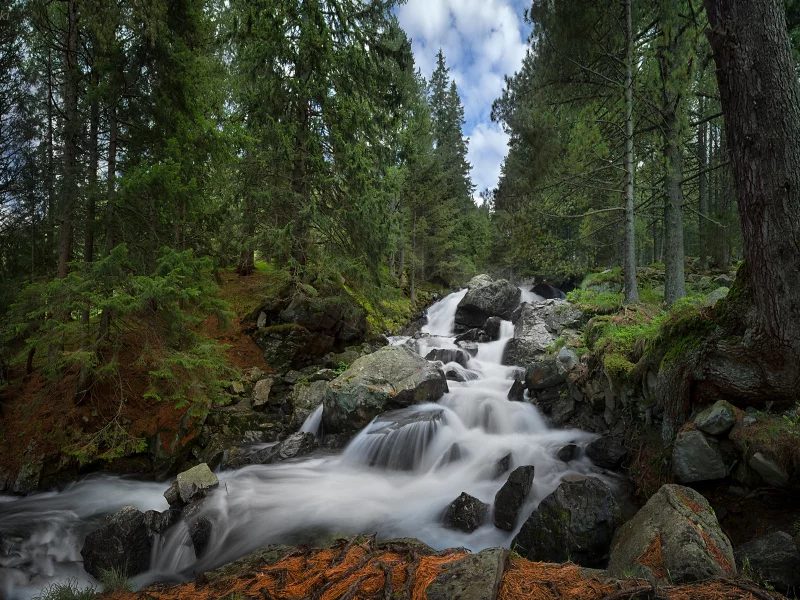 камни, водопад, лес