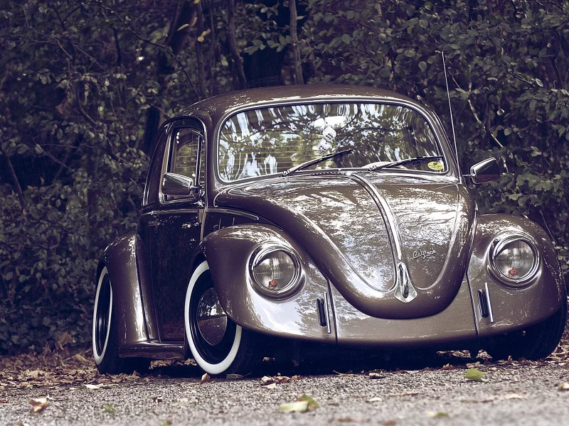 Трава, кусты, машина, volkswagen juke