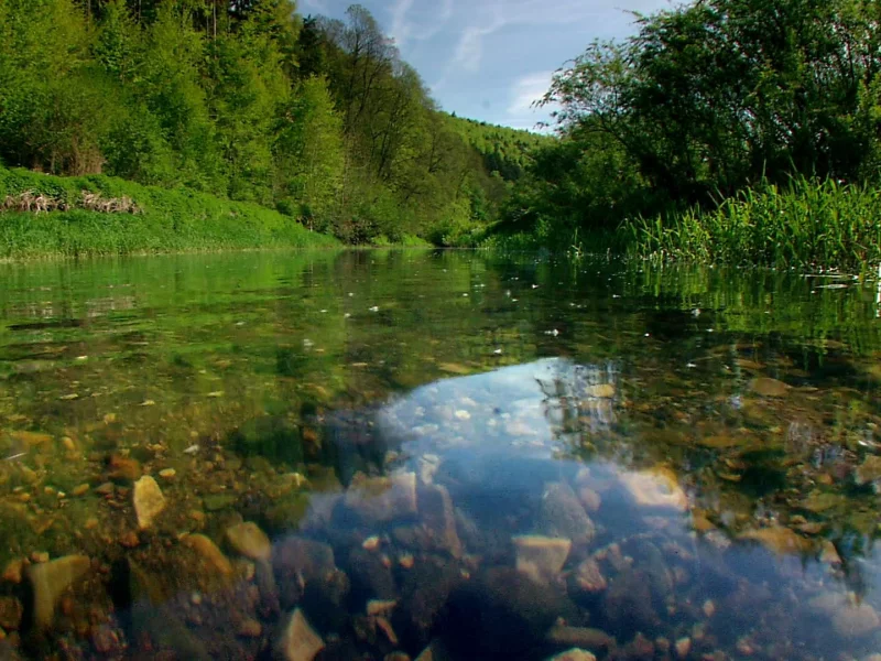 природа, вода, ручей