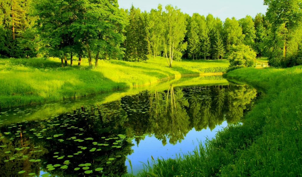 природа, отражения, деревья, река, зелень
