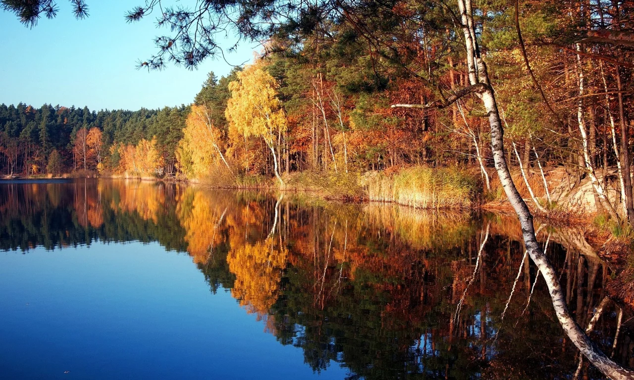 природа, деревья, озеро, осень