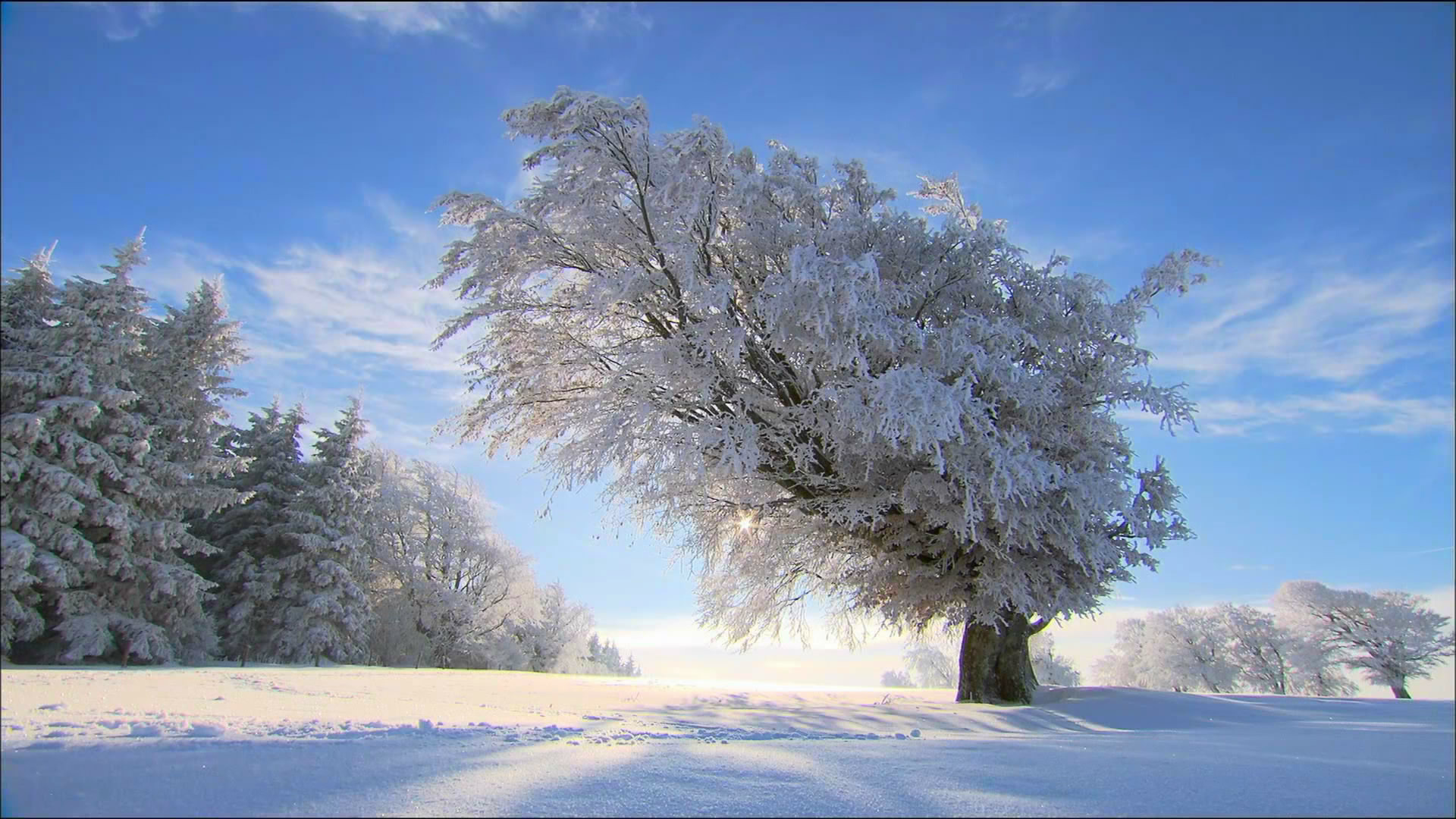 природа, погода, зима