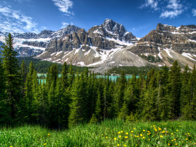 горы, лес, канада, деревья, трава, пейзаж, банф, hdr, парк