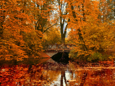отражение, осень, река, мост, парк