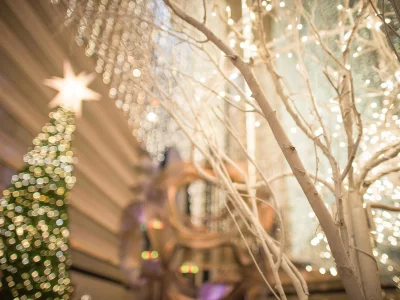 new year, новый год, christmas, usa, рождество, holiday, san francisco