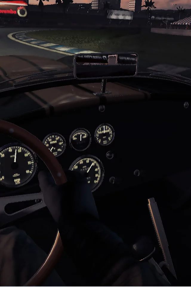 Ночь, трасса, вид из кабины, Shelby Cobra Daytona.
