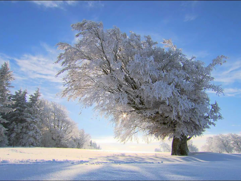 природа, погода, зима