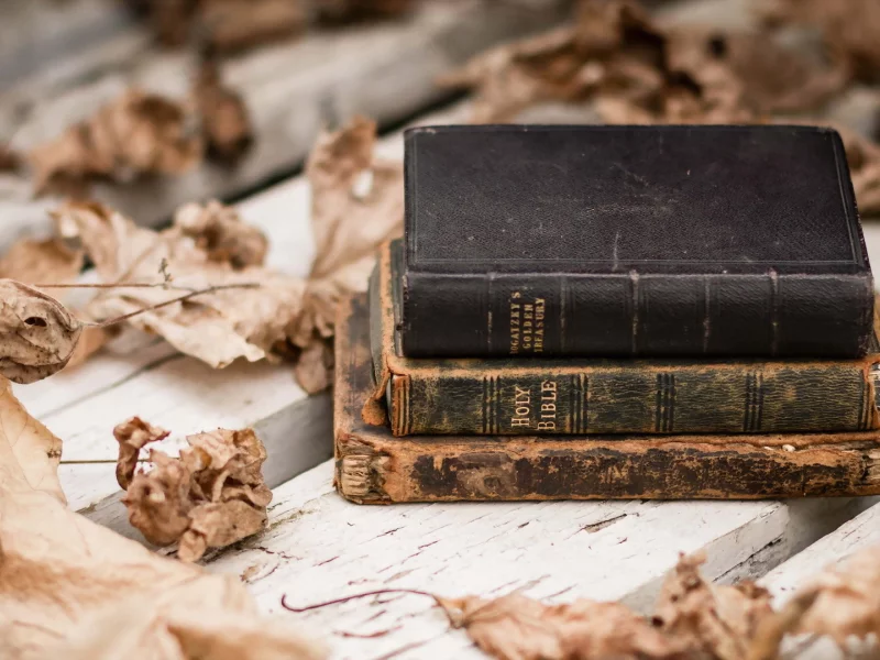 книги, листья, фон