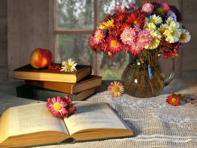 books, книга, настроения, книжка, страницы, книги, book