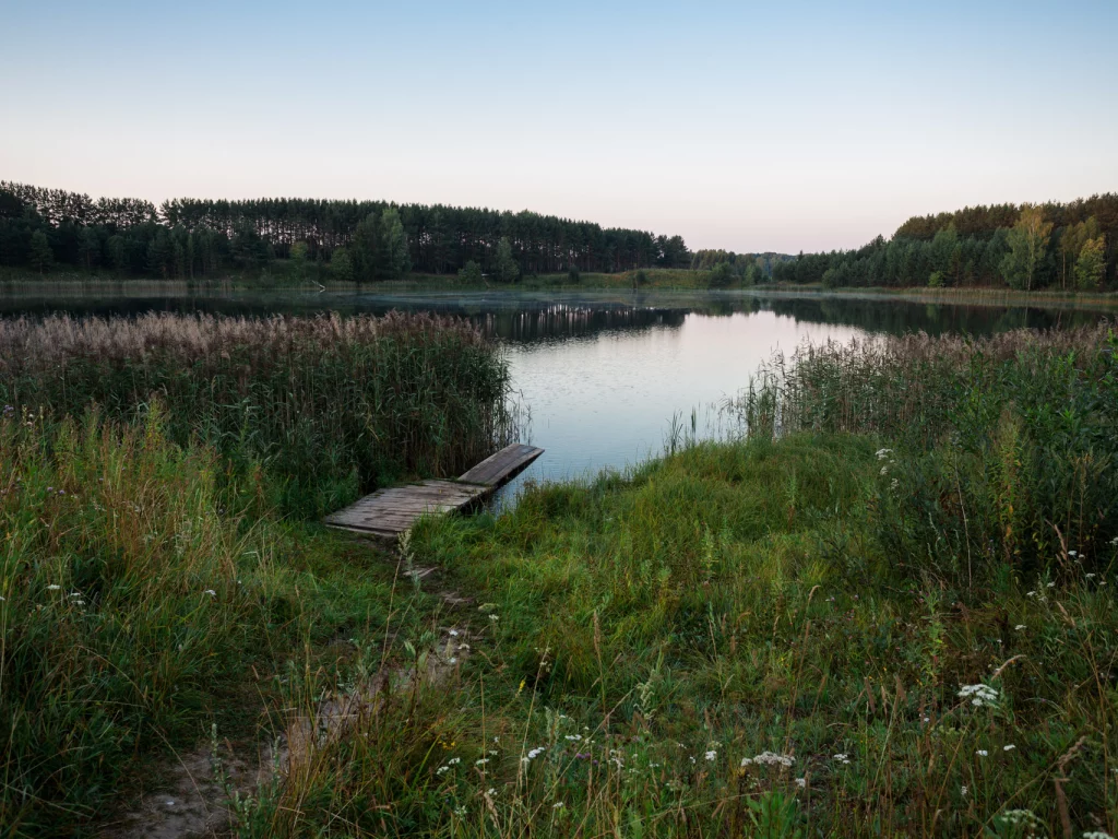 река, берег, лес, камыш, настил, помост