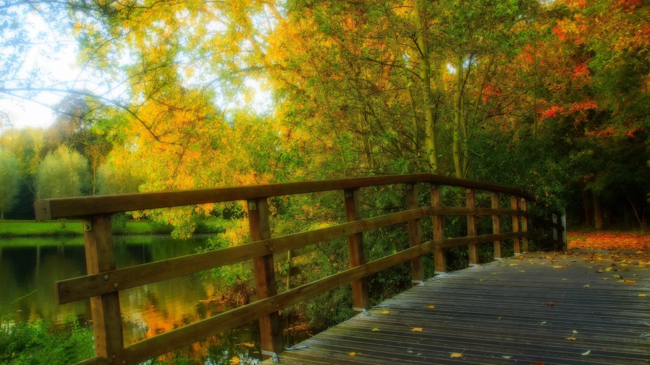 alley, walk, bridge, forest, trees, nature, park, hdr, autumn, river, water, leaves, view, fall