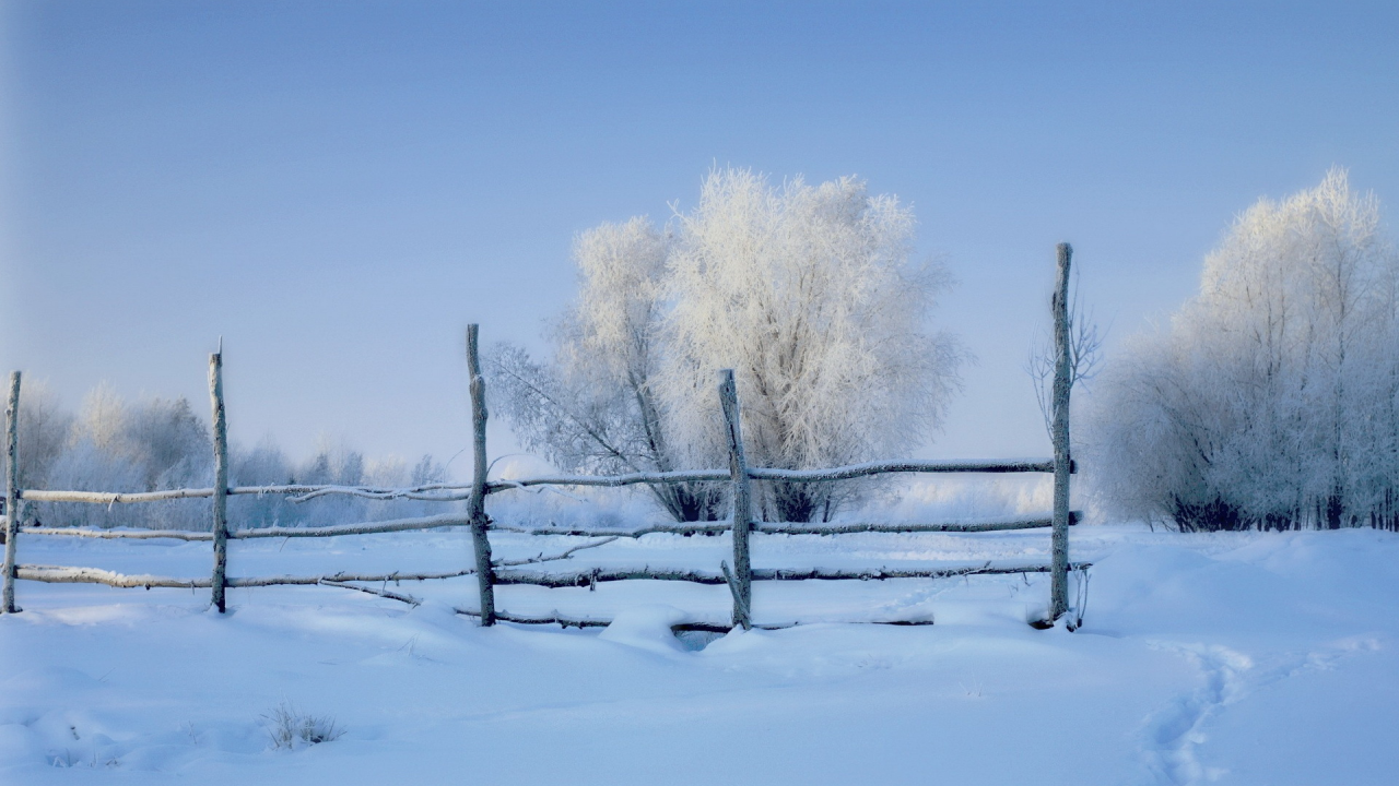 зима, утро, поле, забор, снег