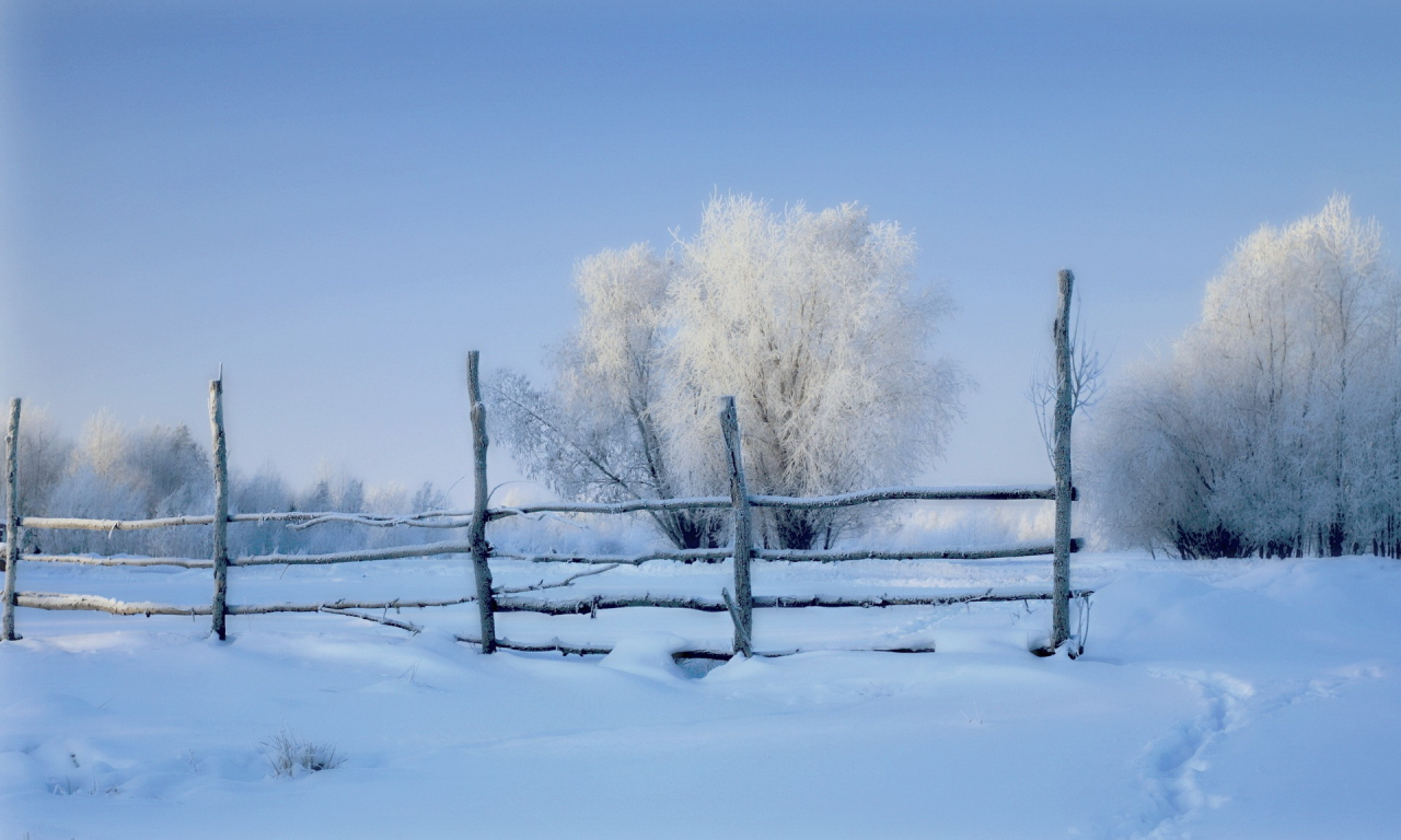 зима, утро, поле, забор, снег