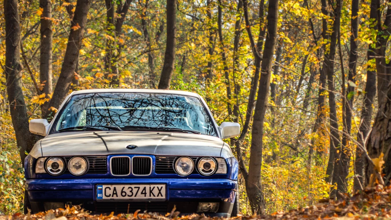 классика, фары, 525, bmw, e34, тюнинг, осень, листья, бмв