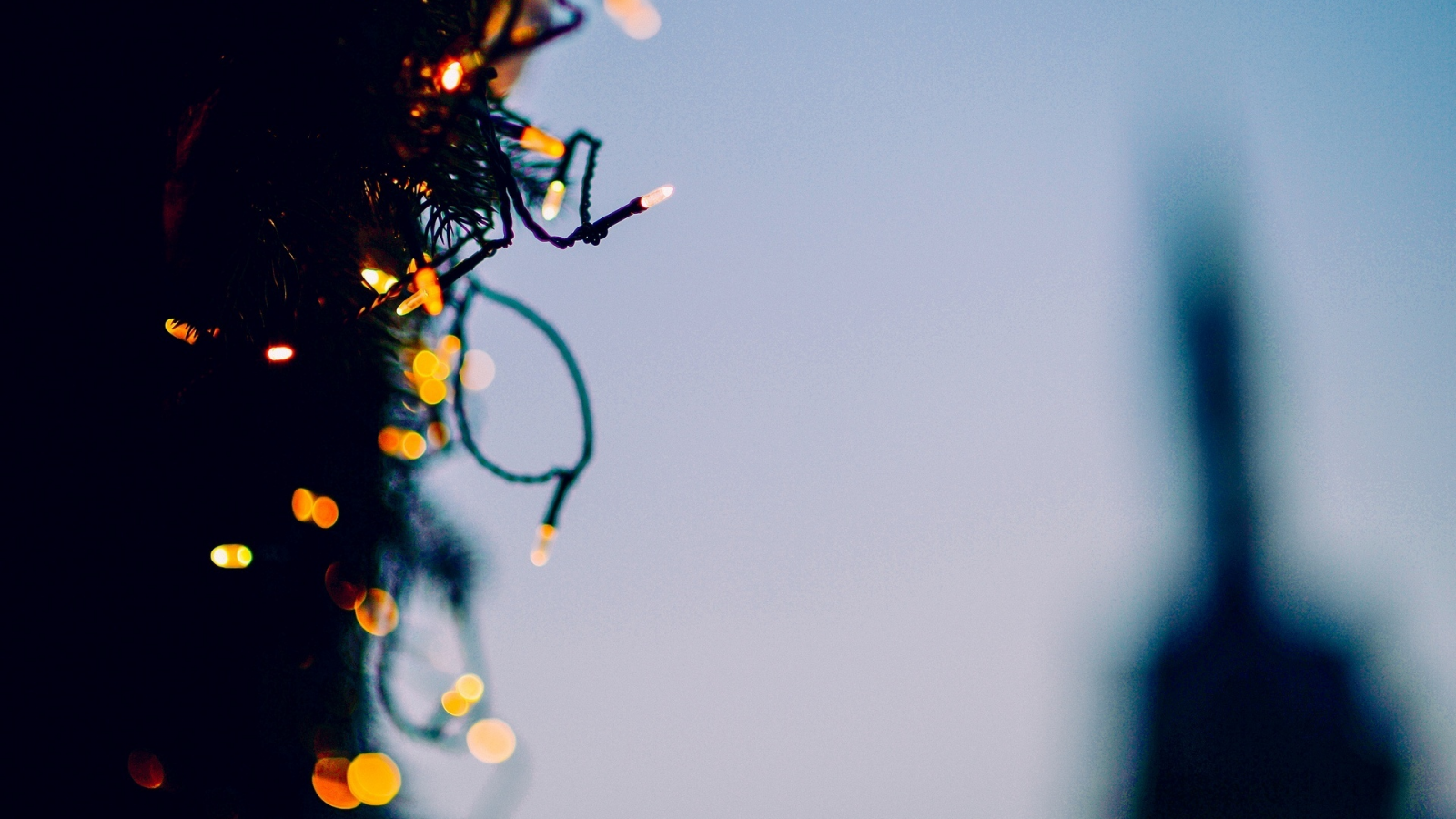 гирлянда, новый год, елка, дерево, праздники, украшение
