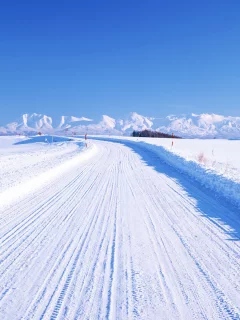 Снег, ралийная трасса, горы.