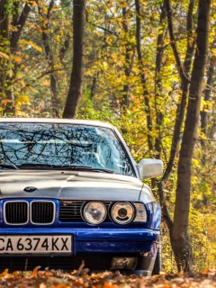 классика, фары, 525, bmw, e34, тюнинг, осень, листья, бмв