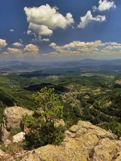 Родопи, Болгария, горы, деревья, лес, небо, облака, скалы, природа, пейзаж