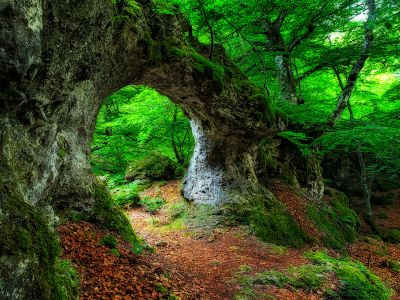 зелень, деревья, арка
