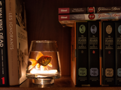 стакан, шкаф, вода, рыбка, книги